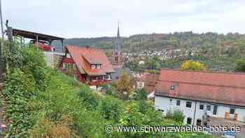 Neues Mehrfamilienhaus in Calw: Neben dem Calwer Stadtgarten könnte bald ein Haus gebaut werden