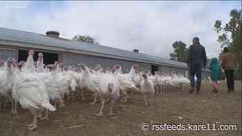Iowa joins Minnesota, 2 other states as new bird flu cases surface