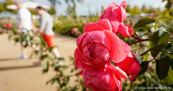 100 Jahre Botanischer Garten Bamberg