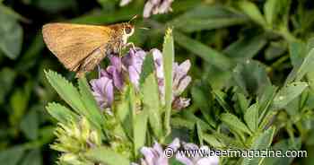 New Purdue Extension Forage Field Guide now available
