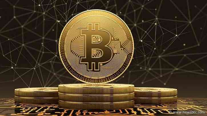Bitcoin Bounce Above $35,000 Puts Holder Profitability At Yearly Highs