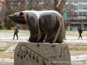 Edmonton weather: Snow is a maybe, wind chill is a definite