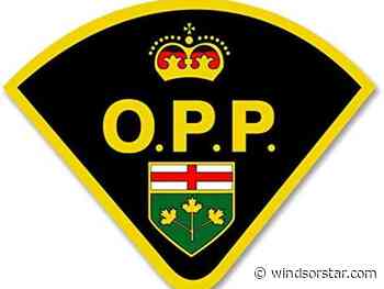 Windsor motorist killed in County Road 42 crash