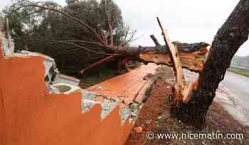 Violent coup de vent ce mardi à Vidauban dans le Var: peut-on vraiment parler d'une "tornade"?