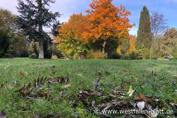 Kein Feuerwehrgerätehaus auf dem Cordesgelände in Bünde