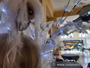 Le festival du film fantastique de Menton en 7 chiffres