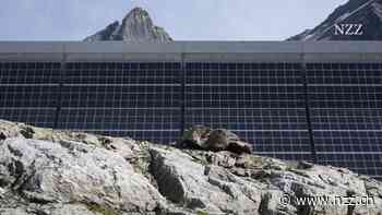 Kampf gegen Grünfärberei im Finanzsektor: Der Bundesrat gibt der Branche eine letzte Chance