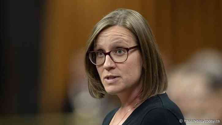 ‘Humanitarian pauses’ in Israel-Hamas war don’t prevent advocacy on hostages: Gould