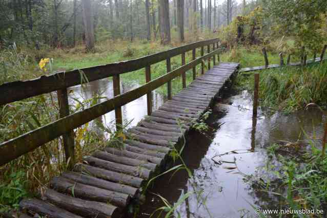 Wandelpad Lovenhoek al gedeeltelijk overstroomd, grondwaterstand veel beter dan in oktober vorig jaar