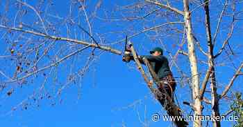 Altenkunstadt: Bereich der Staatsstraße 2203 in Kürze voll gesperrt - so verläuft die Umleitung