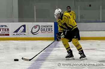Bullseye Blind Hockey gearing up for a Nov. 4 match-up in Red Deer