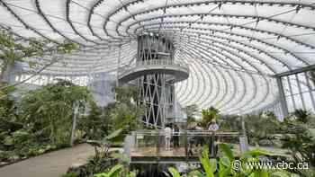 Company files $16.8M lawsuit against Assiniboine Park over construction of the Leaf