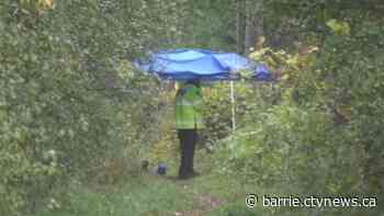 Homicide investigation into woman's remains found near Newmarket trail halted