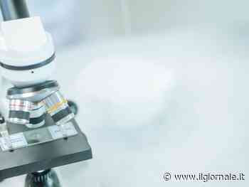 Anticipare le epidemie cercando i virus nelle acque reflue: lo studio italiano