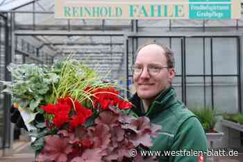 Bestattungskultur in Höxter verändert sich stark