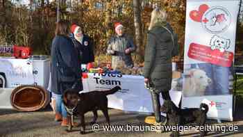 Takumsee: Weihnachtsmarkt für Hunde findet nicht statt