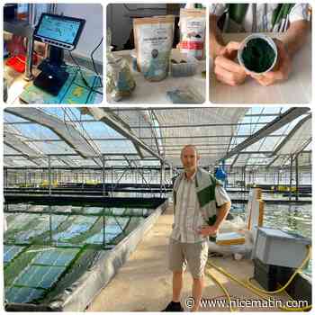 A La Farlède, un ingénieur industrialise la production de spiruline