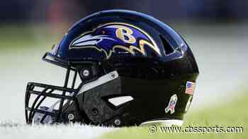 LOOK: Ravens fan discovers misprinted hat with Steelers' name and Baltimore's logo