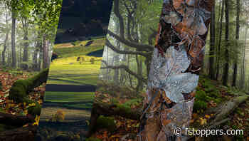 Five Tips for Better Autumn Photos