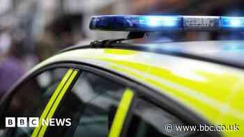 Former Wiltshire PCSO Nick Turnbull barred from policing by misconduct panel