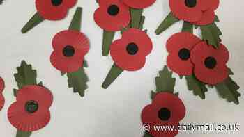 Remembrance poppies go plastic free: Royal British Legion launches new recyclable paper design - marking the first change in 28 years