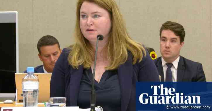 NSW is dragging its heels on cage egg ban, animal welfare advocates say