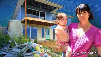 ASIC has been alerted to hundreds of builders suspected of insolvent trading but not one has been prosecuted