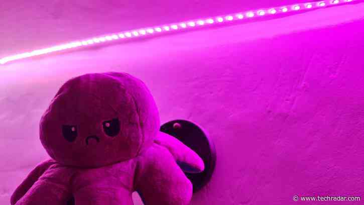 Govee LED Strip Light M1 review: the future's bright, remarkably bright