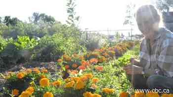 Family of man found not criminally responsible in parents' deaths suing health officials