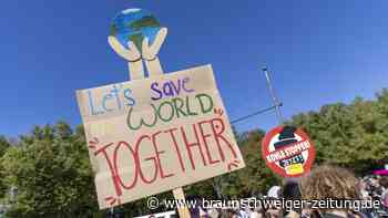 „Fridays for Future“ schockiert mit Anti-Israel-Post