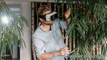 Metaverse: Virtuelle Pflanzen verbessern das Gedächtnis