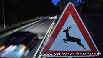 Wildwechsel im Herbst: Gefahr für Mensch und Tier