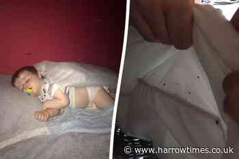 Bedbugs in London flat got so bad family refused to go outside