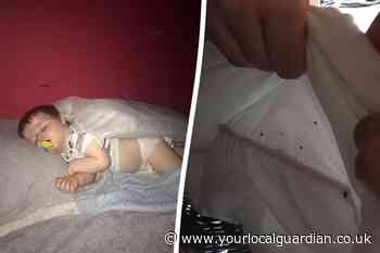 Bedbugs in London flat got so bad family refused to go outside