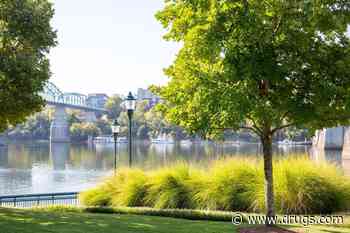 Neighborhood Parks Could Help Your Aging Brain