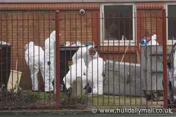 Lee Rhoades 'murdered in group attack during party at Hull tower block', court hears