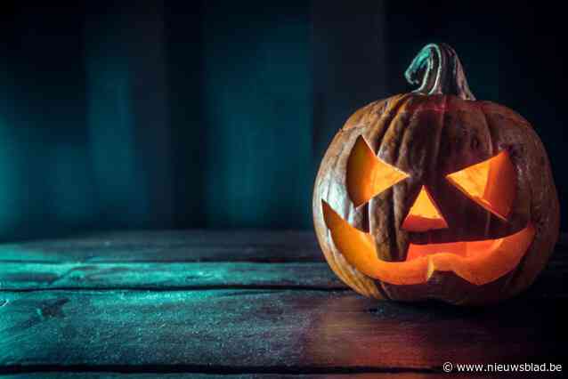 Liefhebbers van ‘griezeligste periode van het jaar’ komen aan hun trekken in Putte: van trick-or-treat tot Halloween Dance Party”