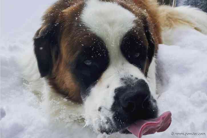 Mt. Hood's Timberline Lodge Transformed By Season's First Major Storm