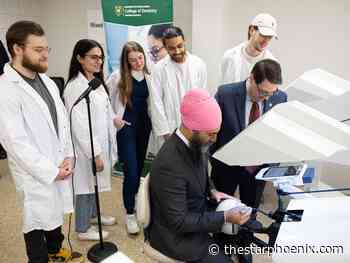 Steven Lewis: Does Canada truly want a universal dental care program?