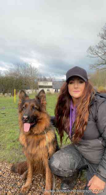 Dog trainers in Pendle could get worker's lodgings as a 'test' run