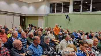 Hochwasserschutz in Gechingen: Sichtbare Ergebnisse gibt es frühestens 2028