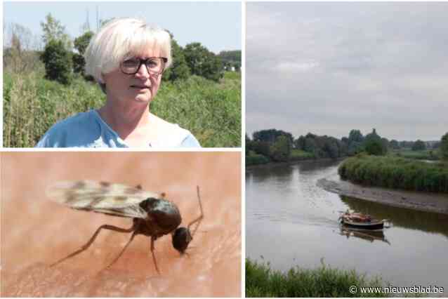 Vlaamse Waterweg neemt extra maatregelen  tegen knijten, maar buurt reageert sceptisch: “Ik twijfel of het probleem daarmee opgelost raakt”