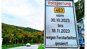 Wegen Forstarbeiten: Bundesstraße bei Wildberg ist drei Wochen gesperrt
