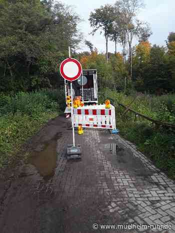 Kleiner Abschnitt der Straße Riemelsbeck wegen Hohlraum gesperrt