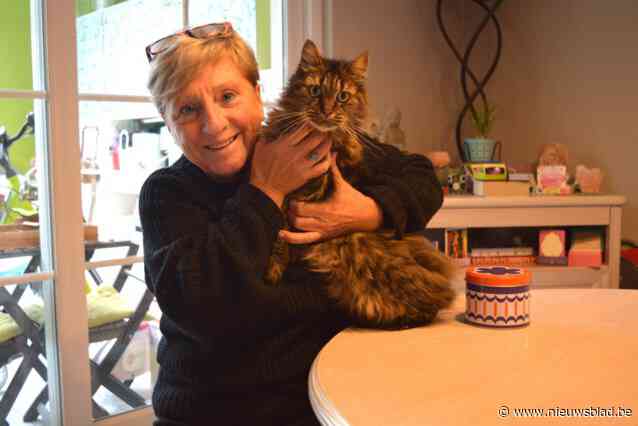 Mara verdwijnt in Borsbeek en duikt 2,5 maand later op in Westende