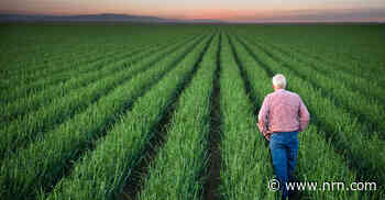 The allure of a powerful brand