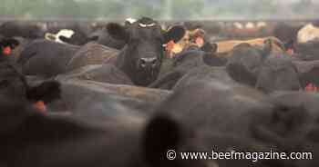 Farmers Business Network launches Profectus Feeds