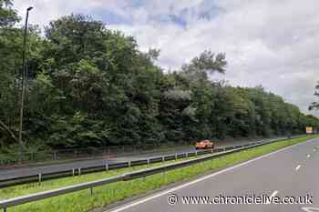 Man suffers serious leg, pelvis and face injuries after being hit by vehicle on A189 in North Tyneside