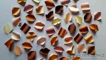 Ectoderma - installazione di Emanuela Mastria