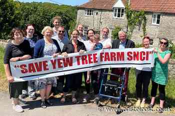 Hope for Bristol's Yew Tree Farm as homes plan ditched